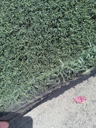 Césped artificial verde