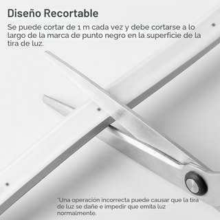 Tira LED Neón Blanco Natural 20m IP67