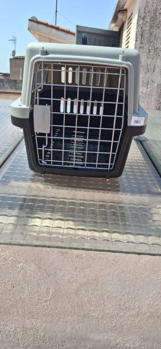 Transportín perro mediano