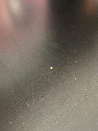 Escritorio IKEA MICKE con estantería, negro/blanco