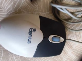 Ratón Genius Óptico USB Negro/Blanco