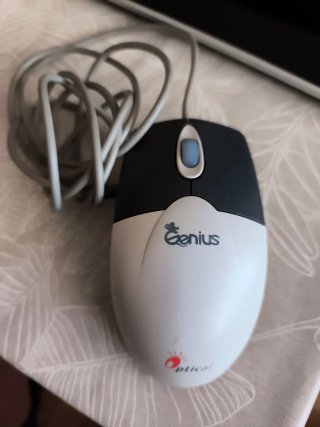 Ratón Genius Óptico USB Negro/Blanco