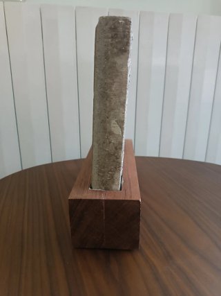 Panot de Barcelona