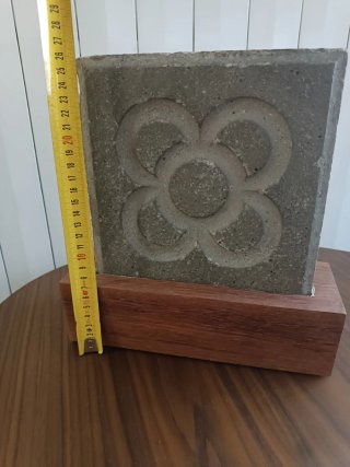 Panot de Barcelona