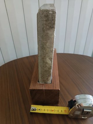 Panot de Barcelona