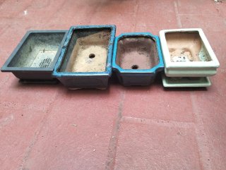 Conjunto 3 maceteros bonsai cerámica