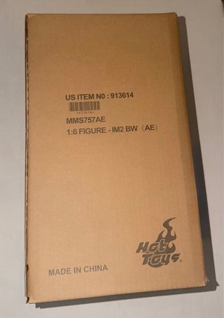 Black Widow Hot Toys 1/6 Artisan Edition