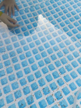 Tus niños disfrutarán aspirando la Piscina Intex