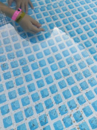 Tus niños disfrutarán aspirando la Piscina Intex