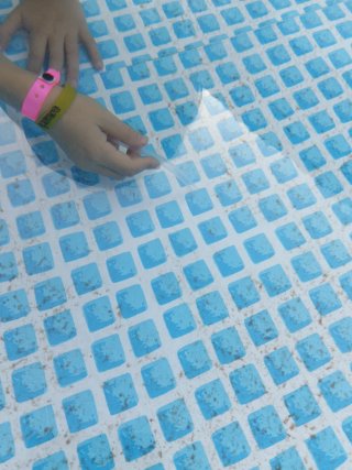 Tus niños disfrutarán aspirando la Piscina Intex