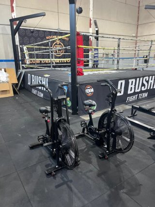 Máquina de gym: prensa y remo