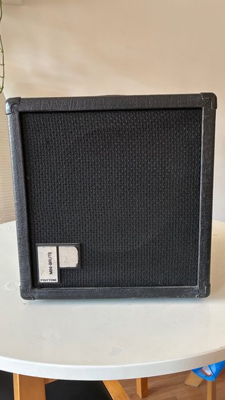 Polytone Baby Brute Baby Taurus Amplificador Jazz