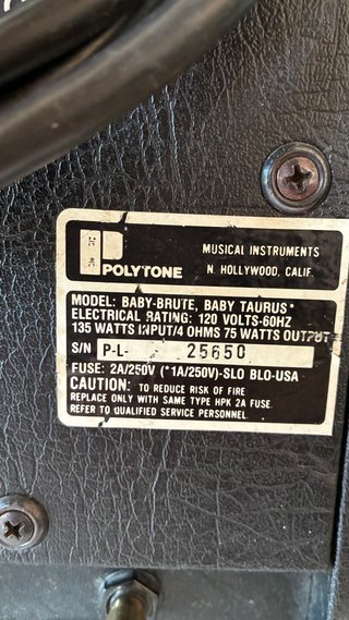 Polytone Baby Brute Baby Taurus Amplificador Jazz