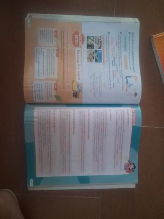 Lengua castellana y literatura 5 Primaria : Rev...