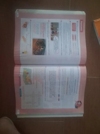 Lengua castellana y literatura 5 Primaria : Rev...