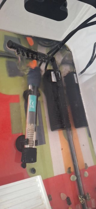 Tortuguera con accesorios