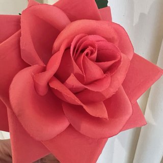 Flor flamenca coral