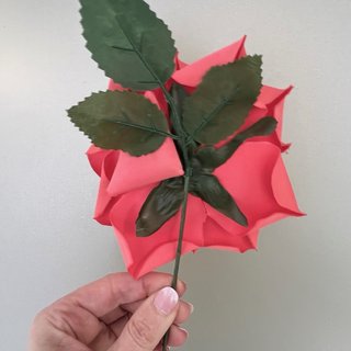 Flor flamenca coral