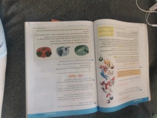 Lengua, 4 Primaria, Comunidad de Madrid Más Savia