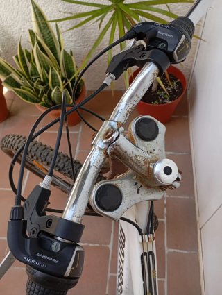 Bicicleta de Montaña