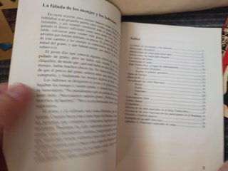 Juego + Instrucciones Commodore Amiga Budokan