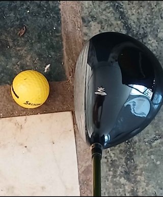 Set de Palos de Golf TITLEIST y KING COBRA