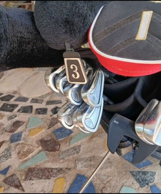 Set de Palos de Golf TITLEIST y KING COBRA