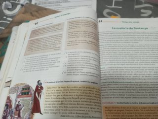 Valencià, llengua i literatura, batxillerat, 1