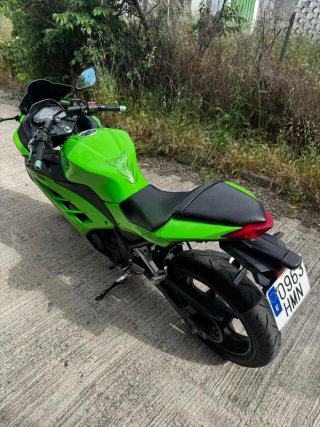 Kawasaki Ninja 300 Sportbike Verde