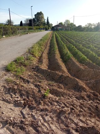 Chalet a reformar con parcela