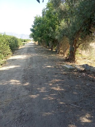 Chalet a reformar con parcela
