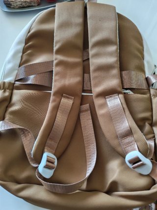Mochilas Capibara + Regalo