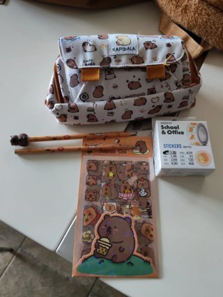 Mochilas Capibara + Regalo