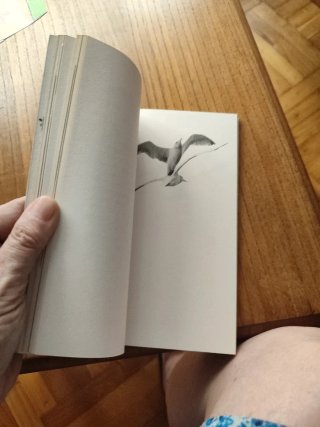 Juan Salvador Gaviota relato