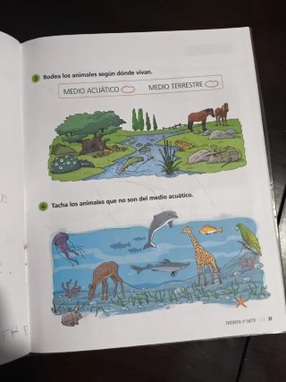 Proyecto: FanFest. Ciencias de la Naturaleza 1 ...