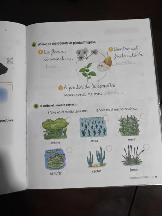 Proyecto: FanFest. Ciencias de la Naturaleza 1 ...
