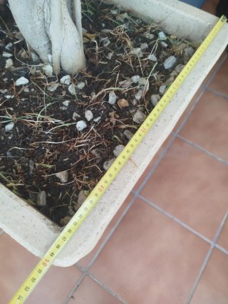 5 Macetones Piedra Beige 50x50x48cm.