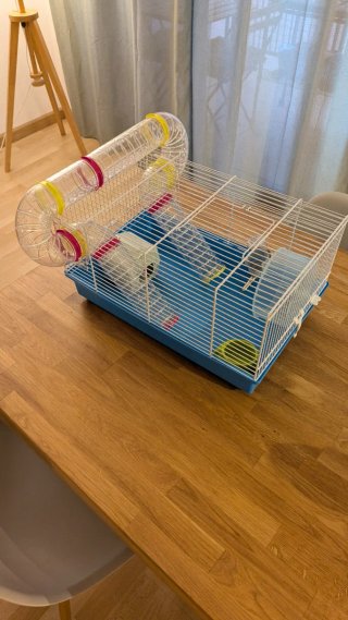 Jaulas para hámster con accesorios