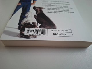 Guía breve para tener un perro feliz
