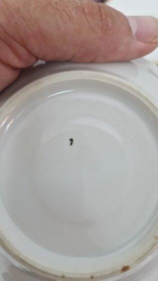 Juego de té porcelana MARGARITA