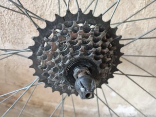 Ruedas Clásicas SunTour 7v Vintage 700c