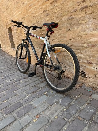 Bicicleta Montaña 26 53
