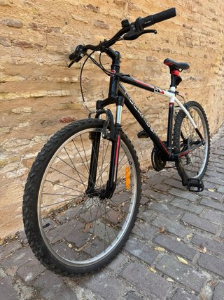 Bicicleta Montaña 26 53