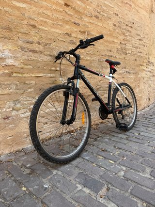 Bicicleta Montaña 26 53