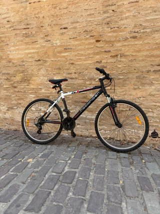 Bicicleta Montaña 26 53