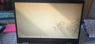 ASUS Chromebook C423N 14 2021