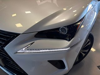Lexus NX 2.5 300h Luxury 4WD