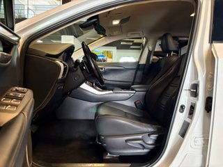 Lexus NX 2.5 300h Luxury 4WD