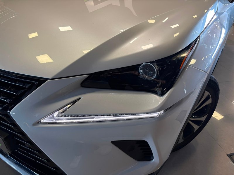 Lexus NX 2021, foto 3