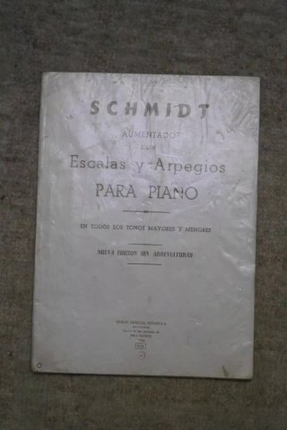 Lote 5 Libros Piano Principiante Czerny Bertini